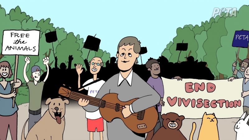 Paul McCartney lança vídeo para campanha contra testes em animais