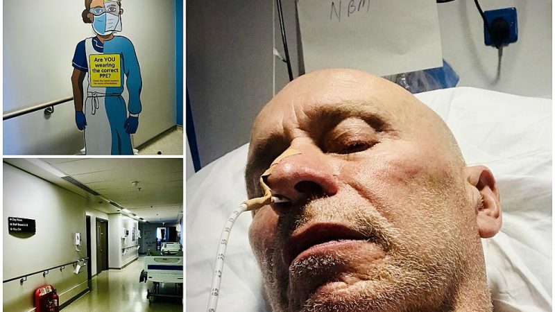 Matt Johnson, do The The, passa por cirurgia de emergência na garganta